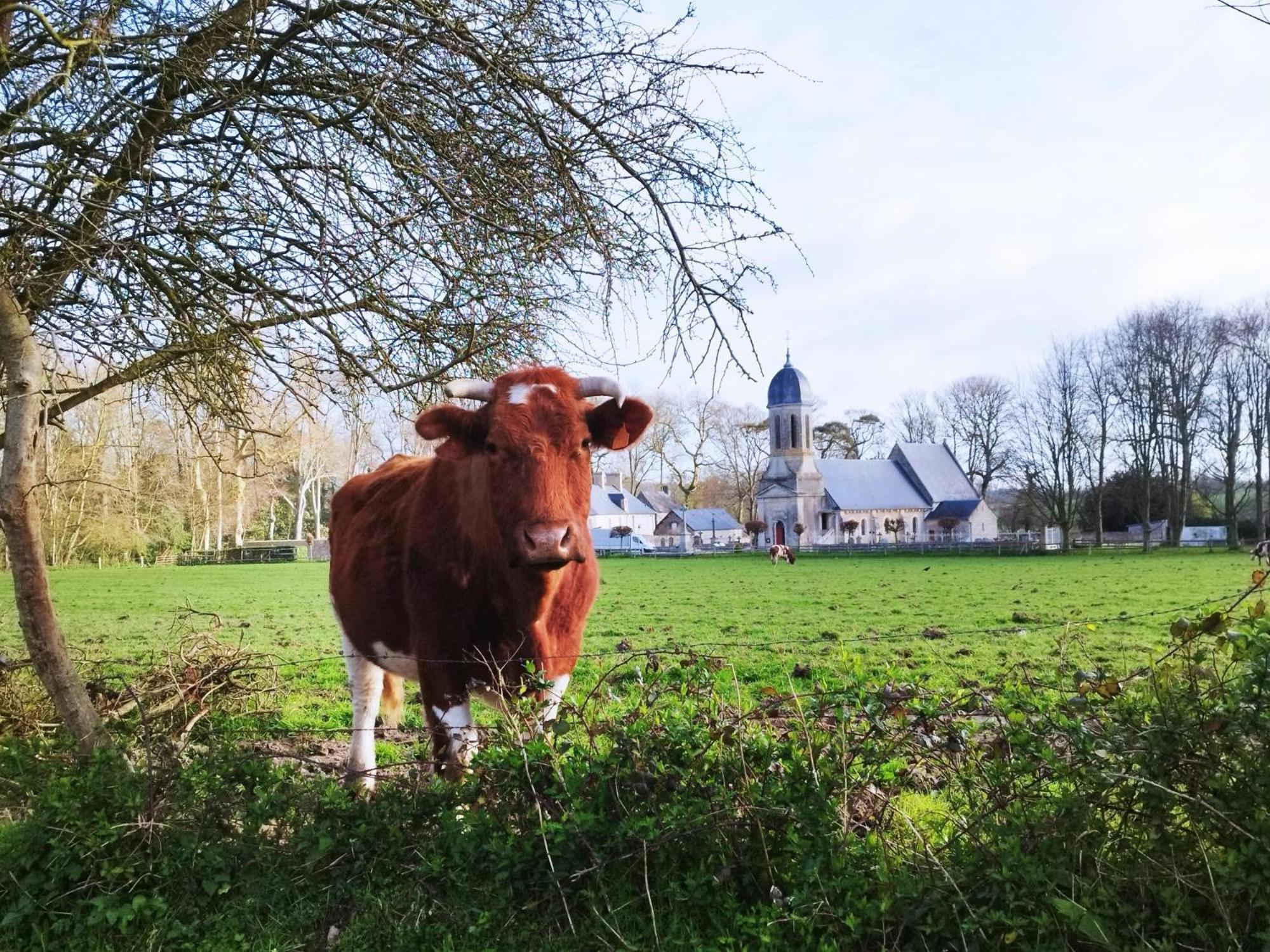 Comme A La "Maisons" Maisons  Zewnętrze zdjęcie